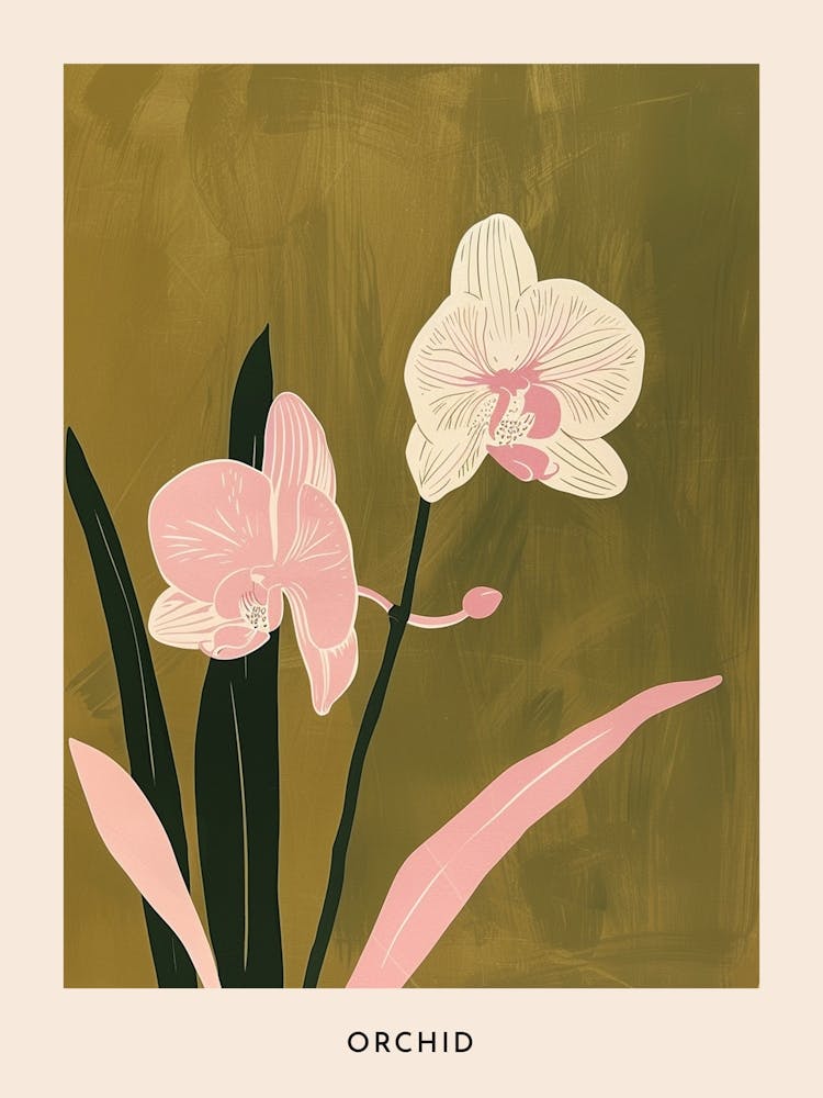 Rosa & Grüne Orchidee 2 Blumenposter