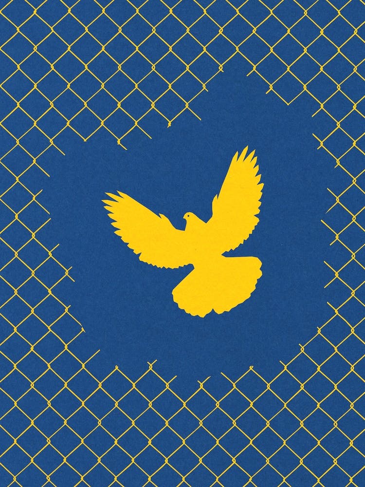 Freedom Dove Ukraine
