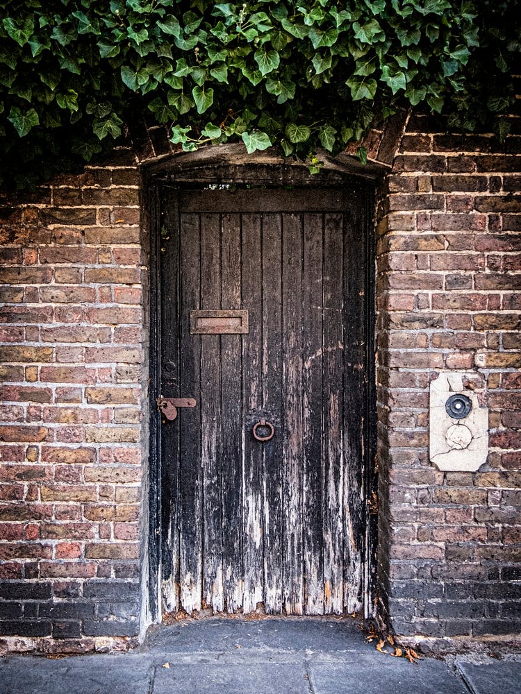 Old wooden garden door with Ivy // London // Travel Photography
