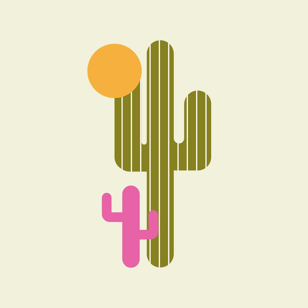 Cactus and sun