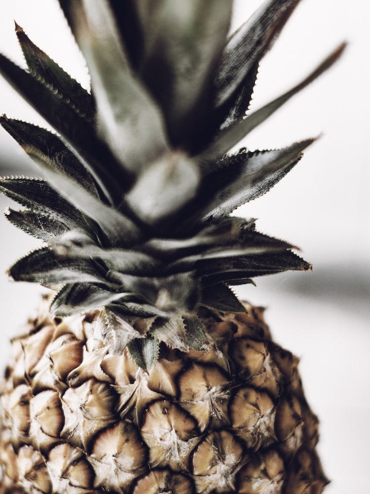 Island Pineapple