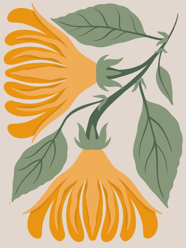 Tulip 2