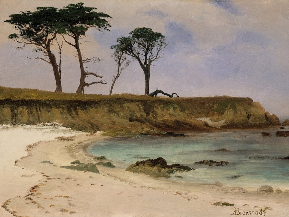 Sea Cove, Albert Bierstadt