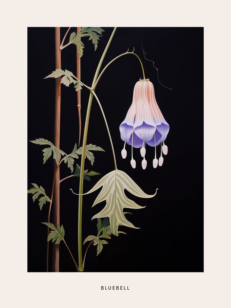 Flower Illustration Bluebell 1 Poster