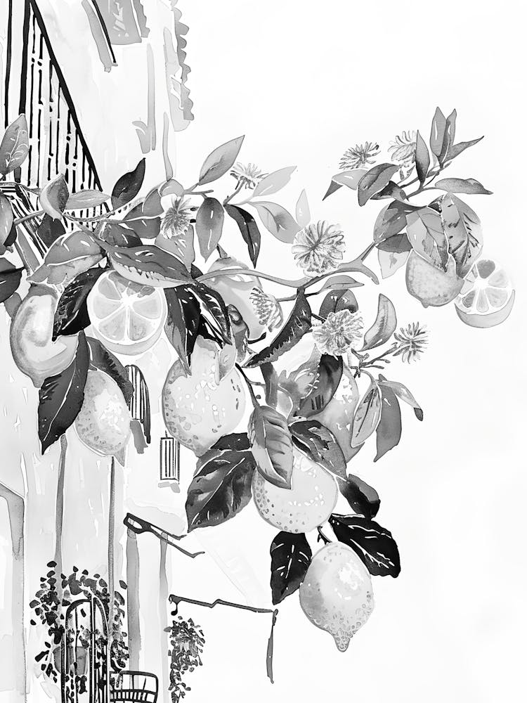 Lemons On The Balcony