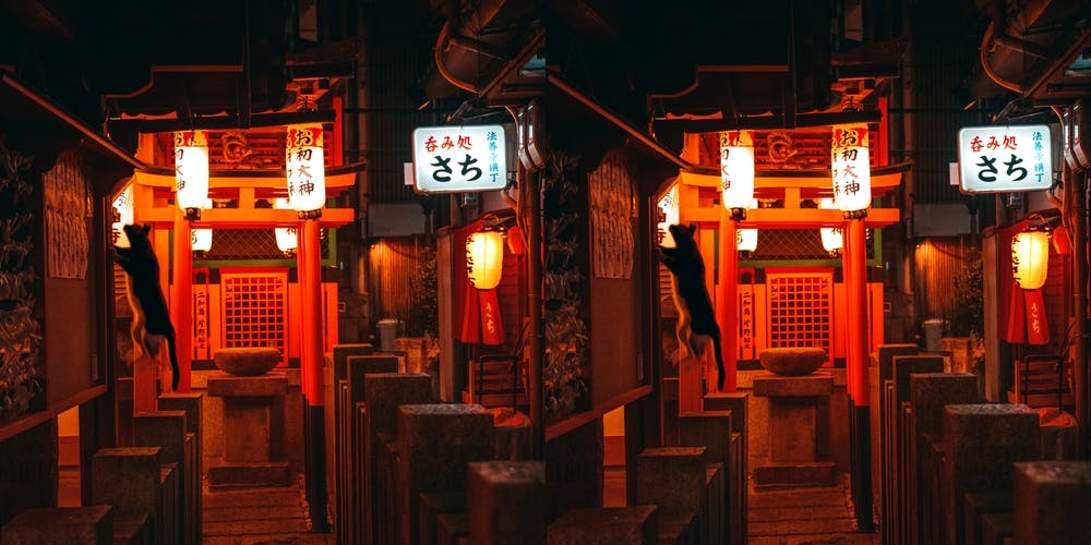 Ninja Kitty And Japanese Tori