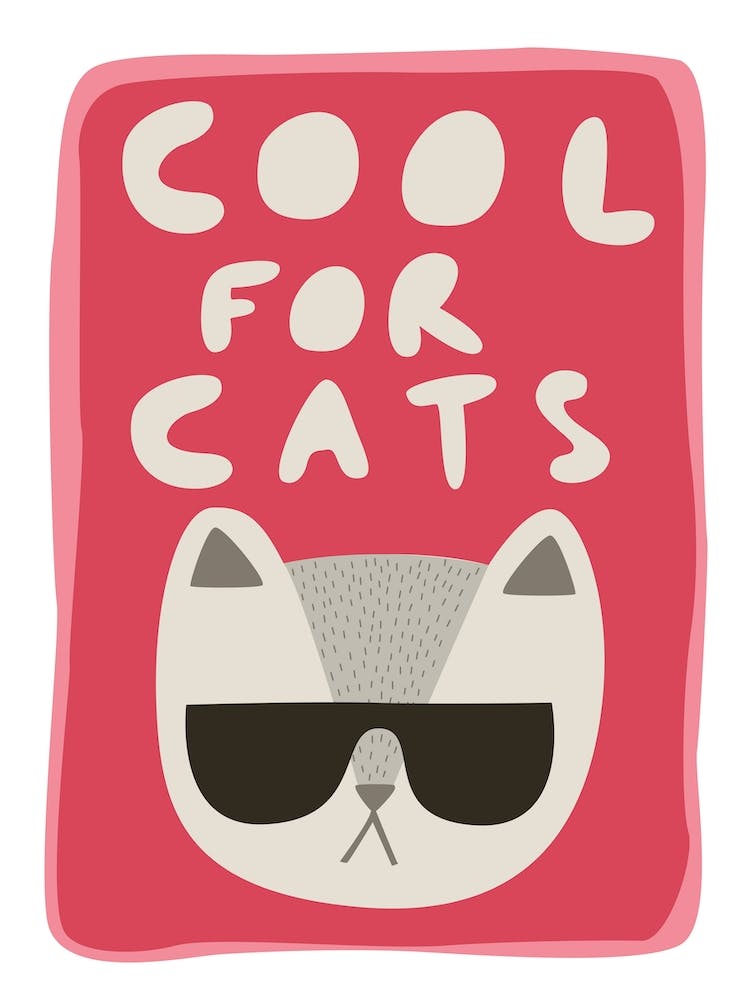 Cool For Cats