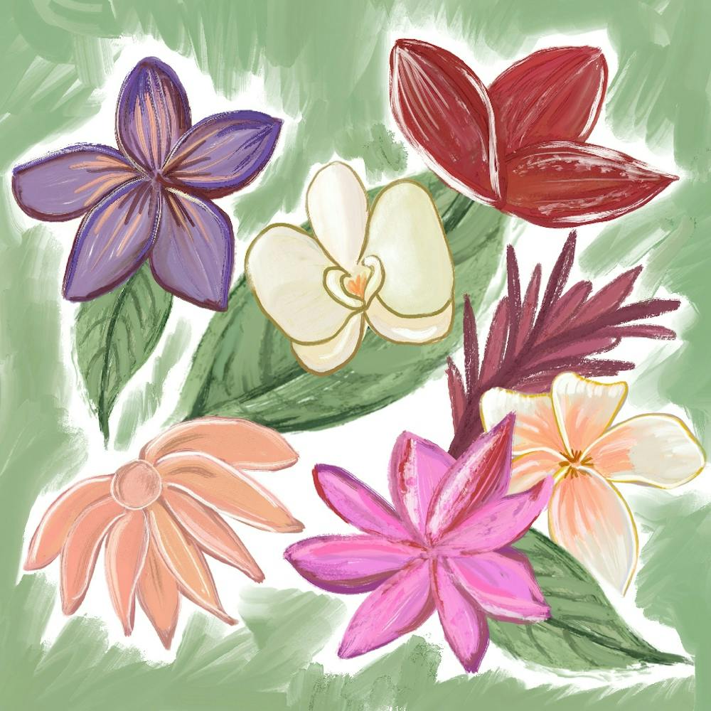 Oil Painting Botanical