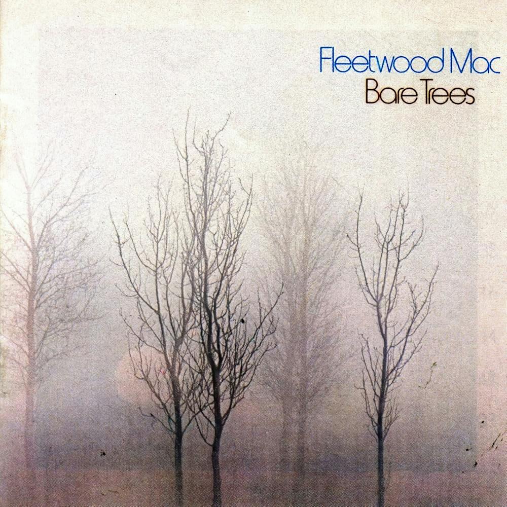 Fleetwood Mac Cover Album 5