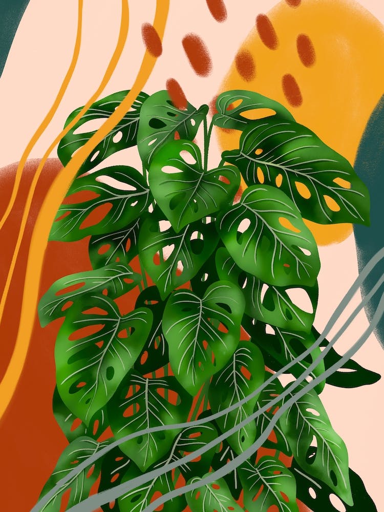 Abstrat Monstera Adansonii