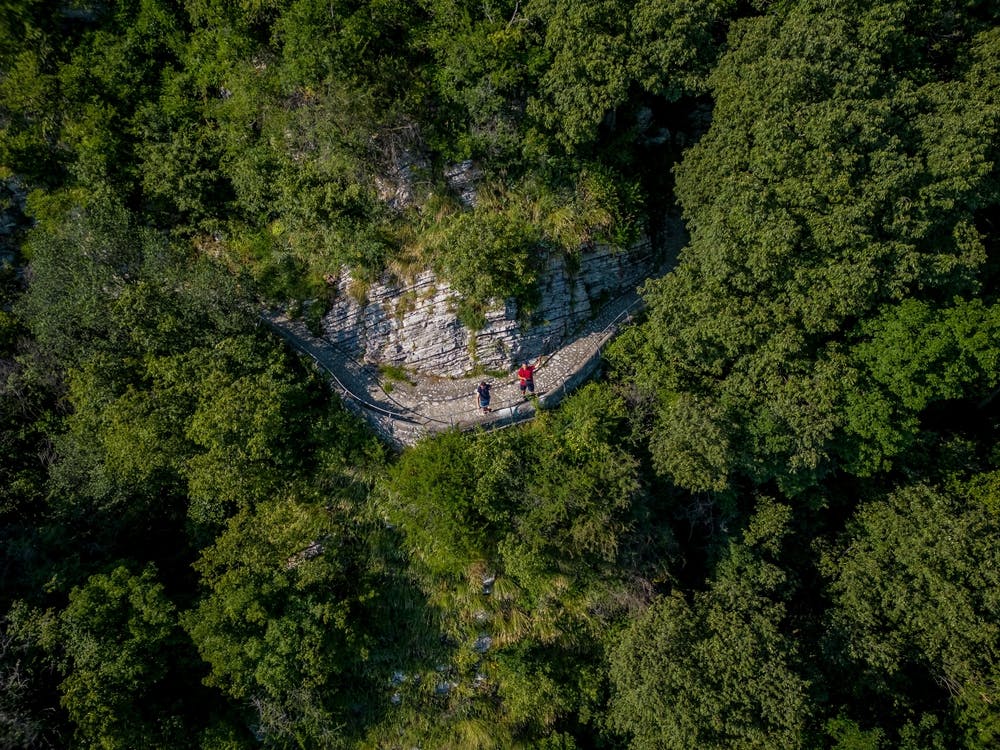 Aerial View Of A Forest Path
