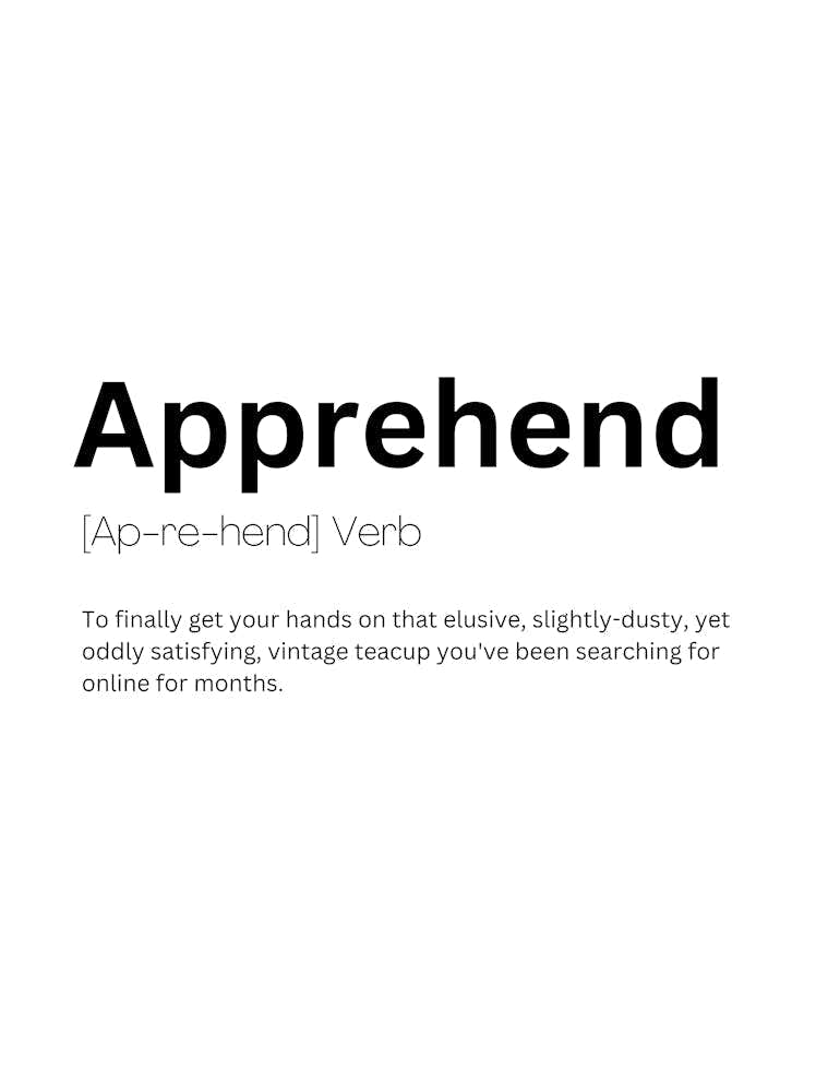 Apprehend Definition Meaning 1