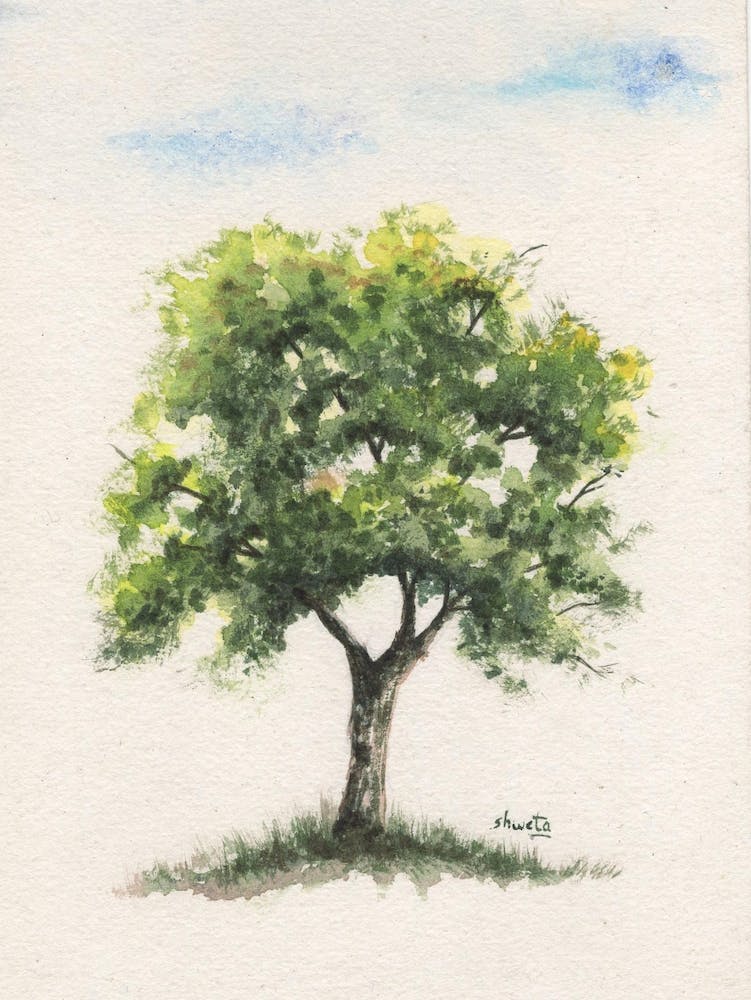 Burr oak tree art