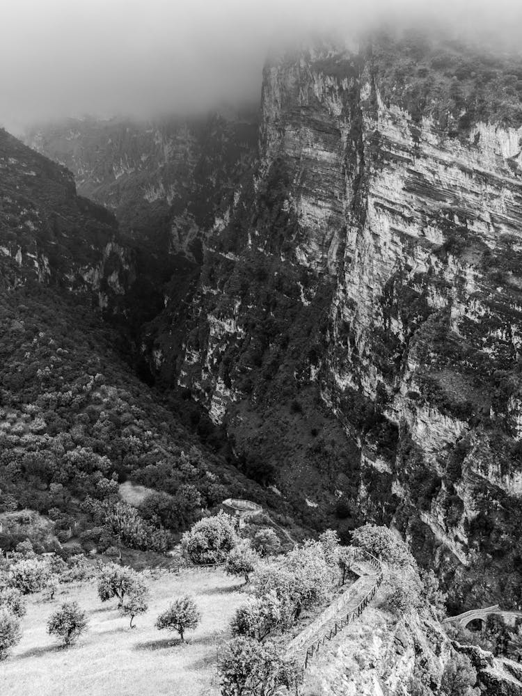 Black And White Nature In Calabria