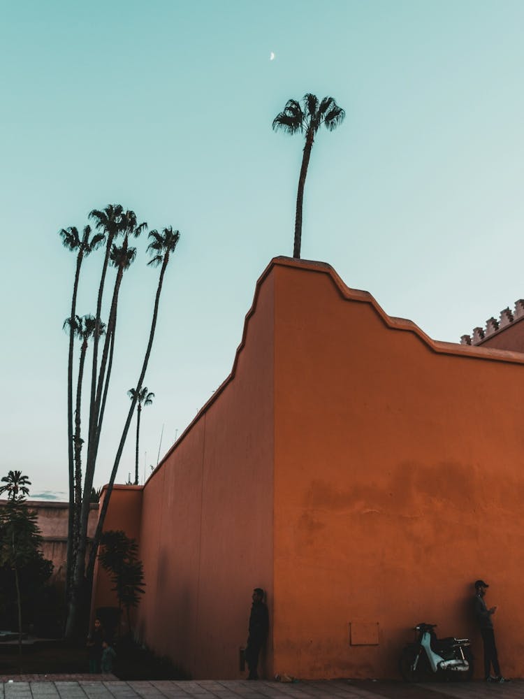 Streets Of Marrakech by moonlight | Travel photography