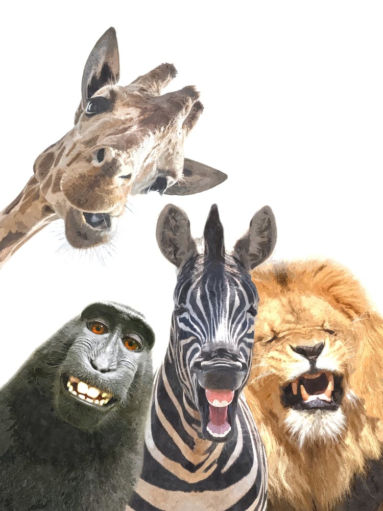 Happy Jungle Animals