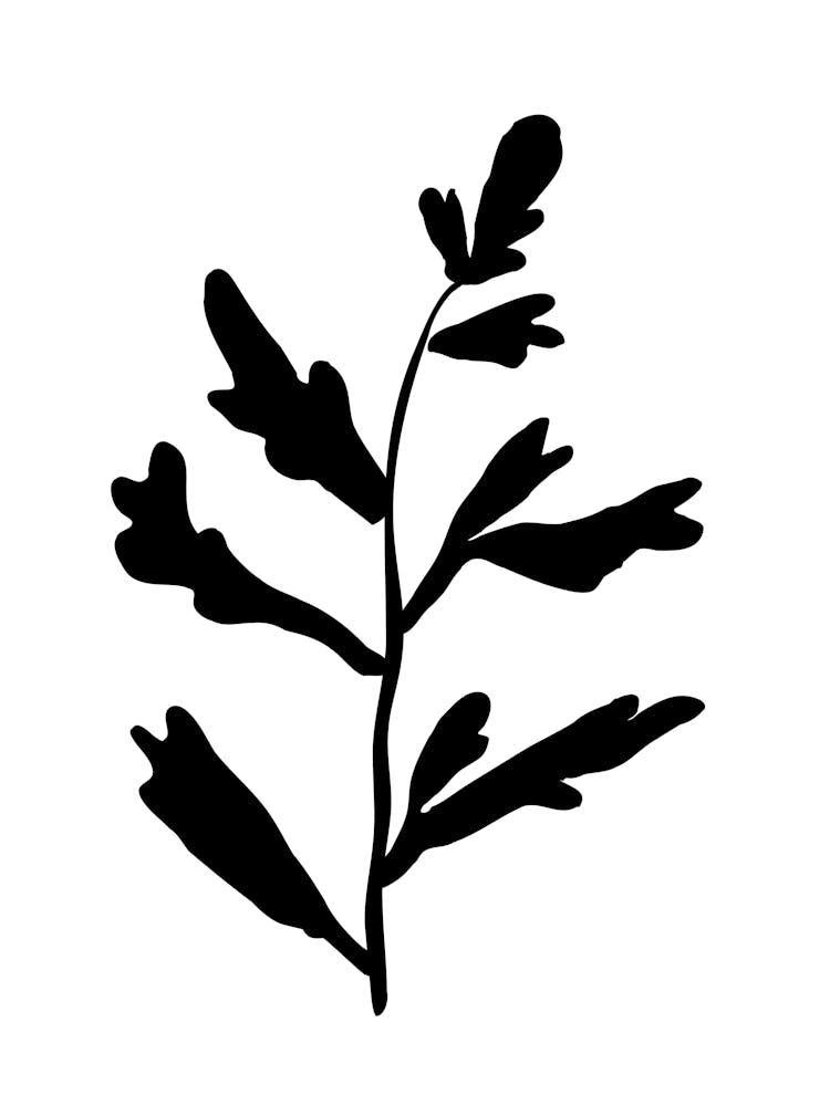 Oak Leaf Silhouette