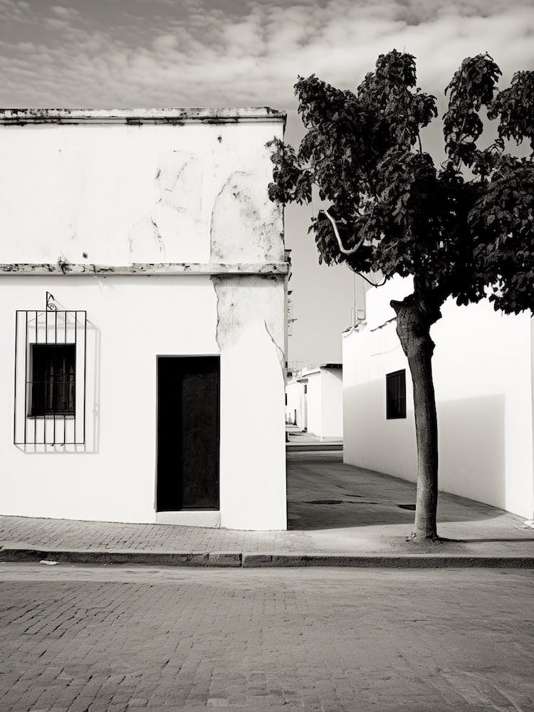 Jerez De La Frontera, Spain, Black And White Analogue Photography 4