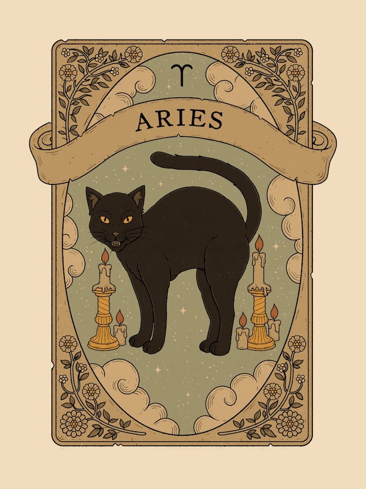 Cats Astrology Aries