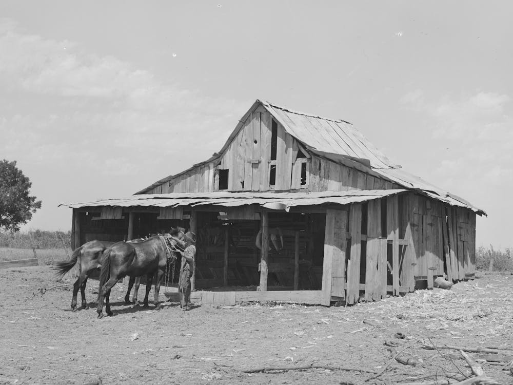 Barn Belonging To Tenant Farmer Near Muskogee, Oklahoma, See General Caption No, 20 By Russell Lee