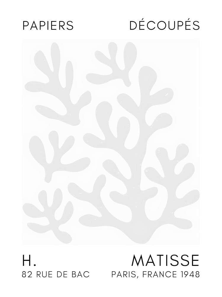 Matisse 34