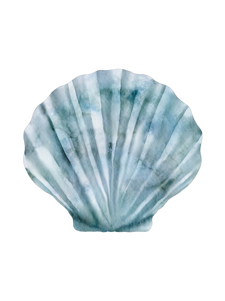 Colored seashells. Seashells. Summer. 13