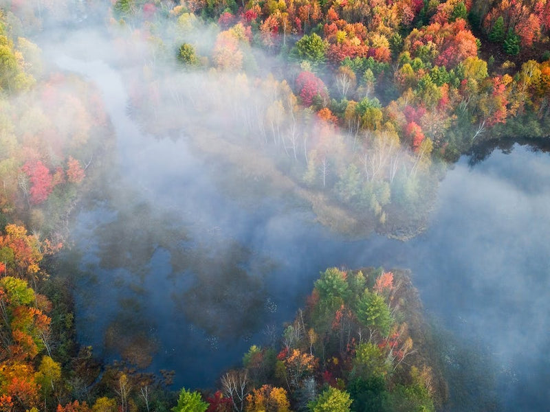 Autumn Symphony 1