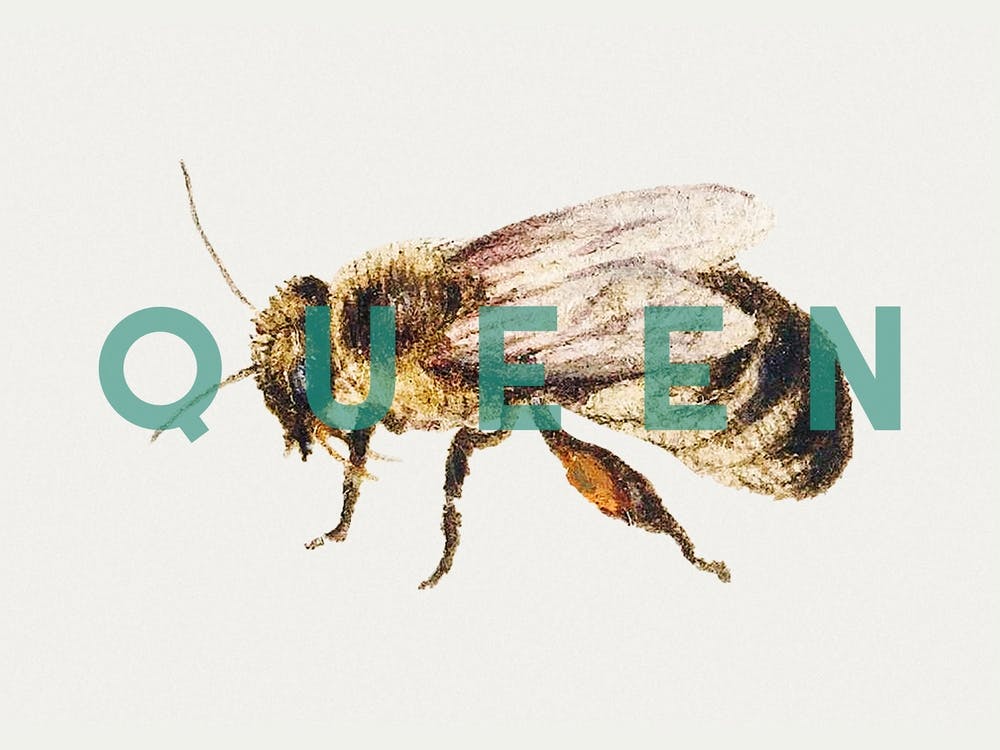 Bienenkönigin