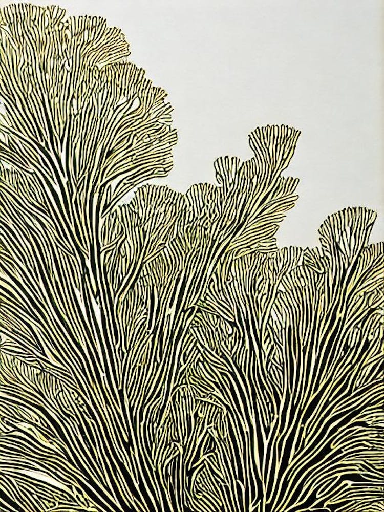Acropora Suharsonoi Ii Linocut