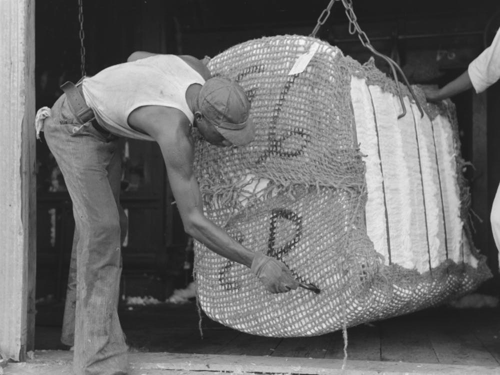 Painting Identification Marks On A Bale Of Cotton, Lehi, Arkansas By Russell Lee