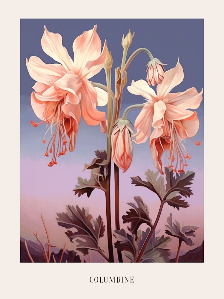 Florale Illustration Akelei 4 Plakat