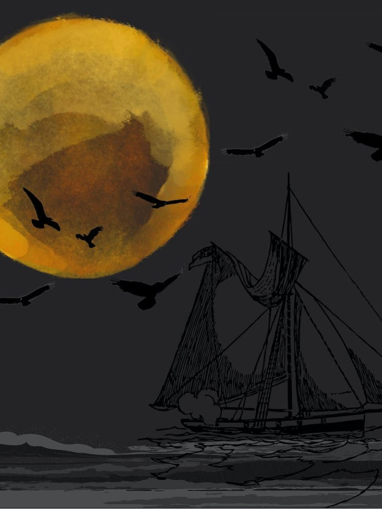 Sailing Sally Sailboat- Dark/Grey/Yellow