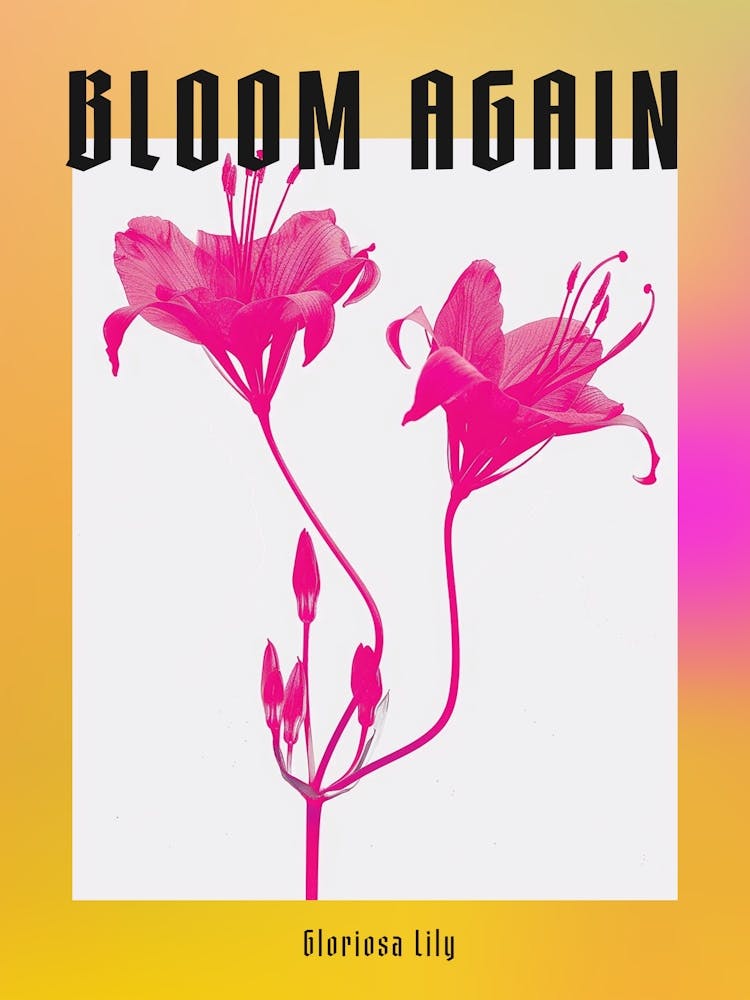 Hot Pink Gloriosa Lily 1 Poster