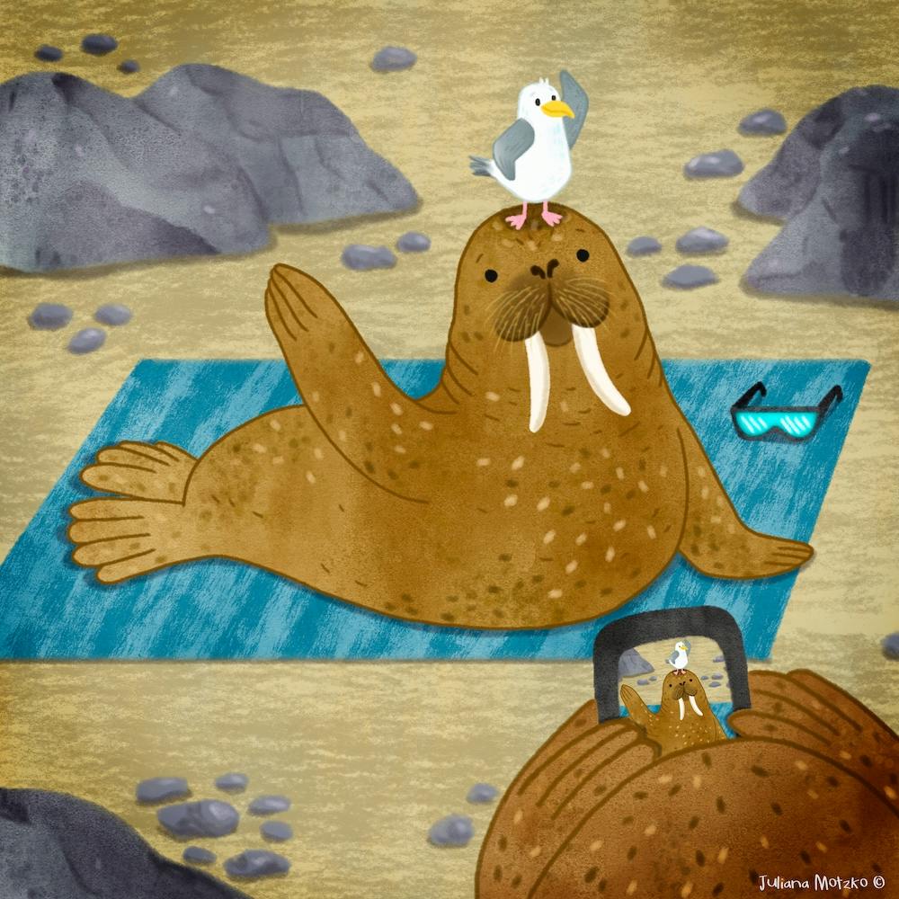 Walrus Taking Pictures Square