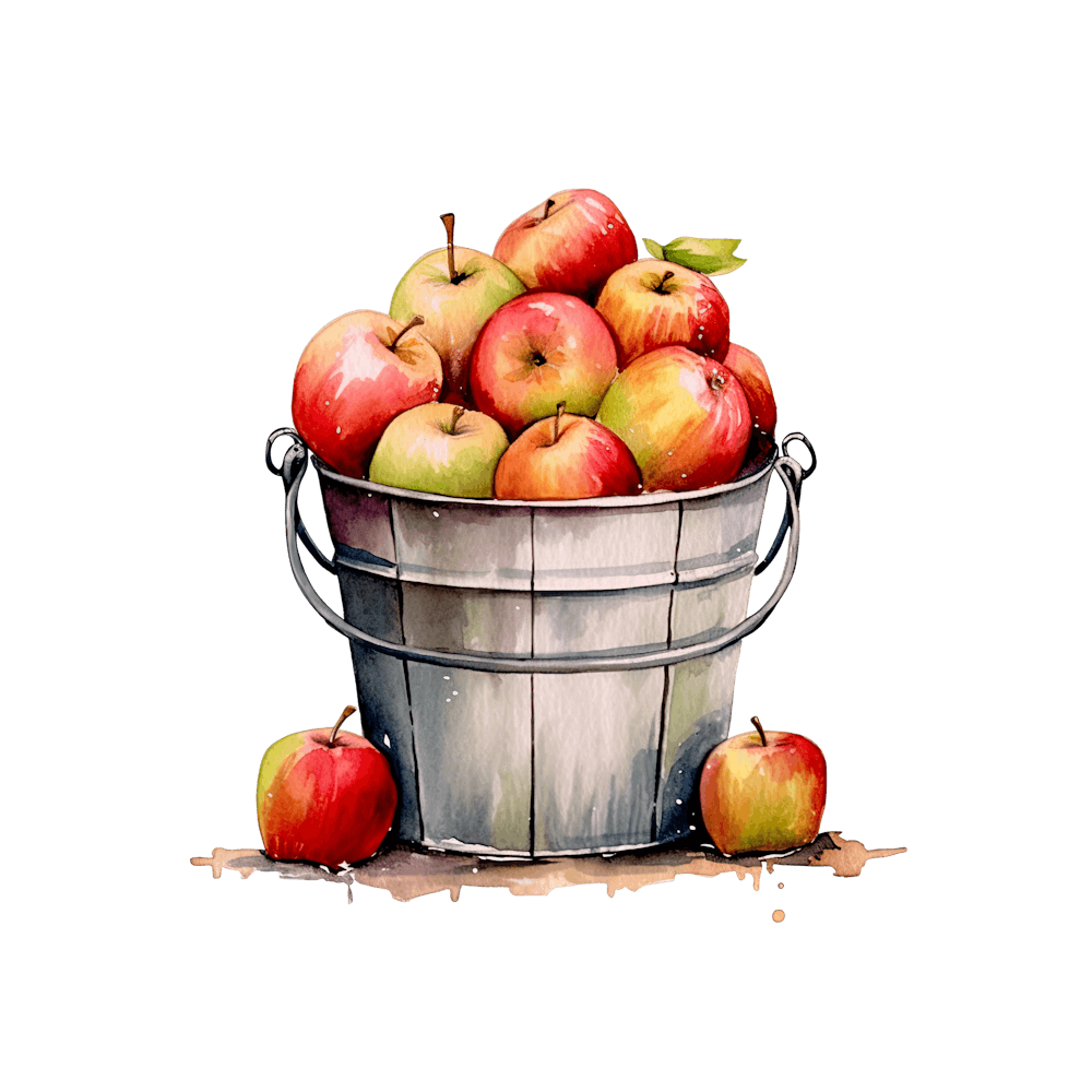 Apples In A Bucket 6