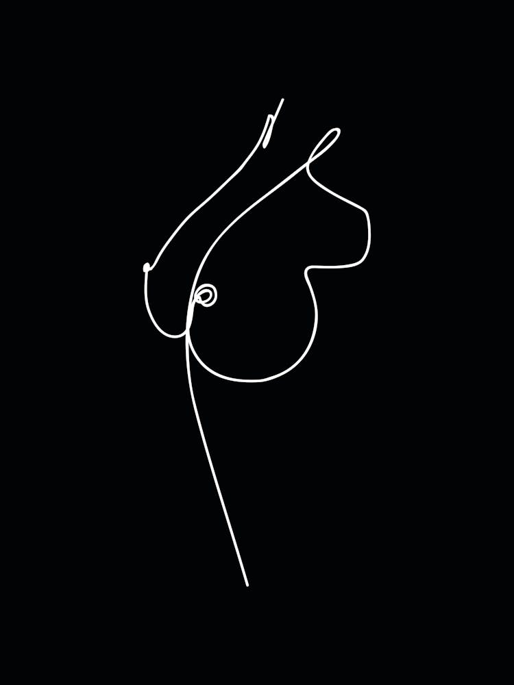 Line Drawing Of A Horse
