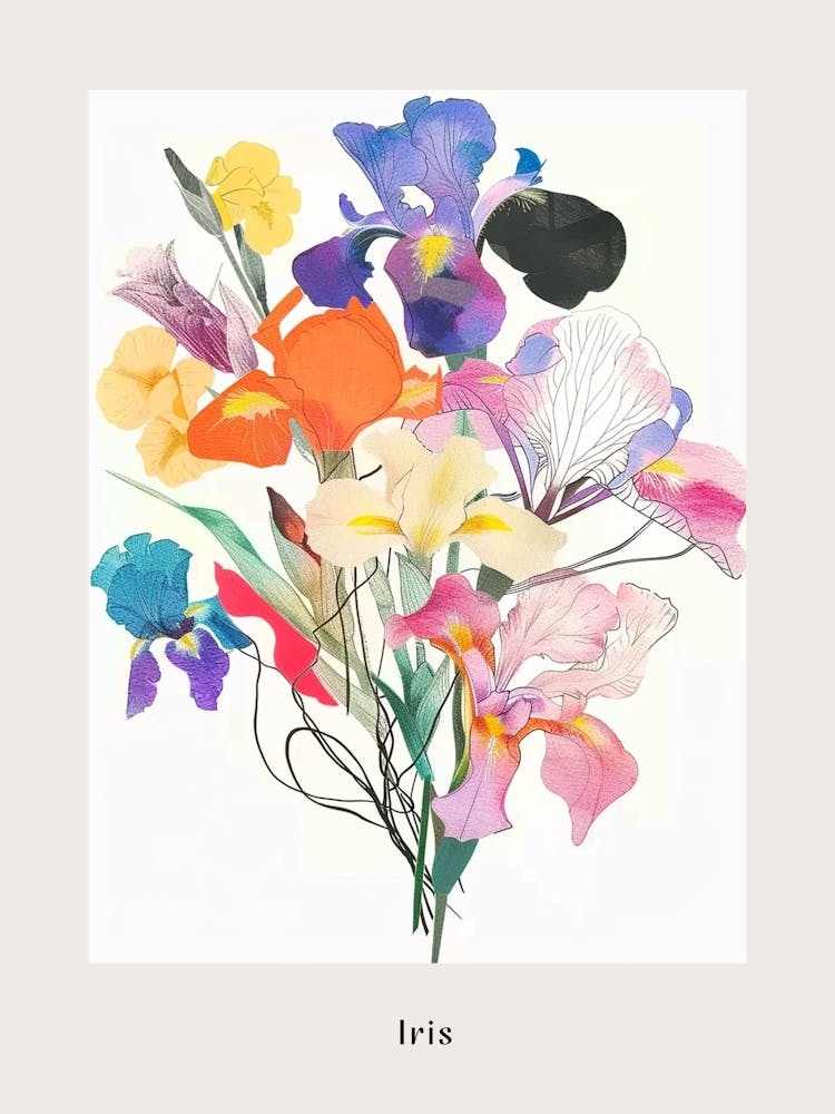 Iris 3 Collage Flower Bouquet Poster