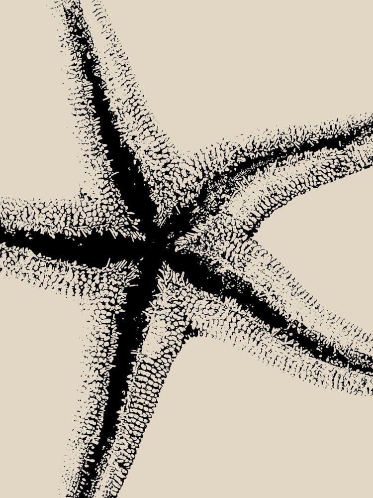 SeaStar in Black, Beach Decor, Minimalist Coastal Art