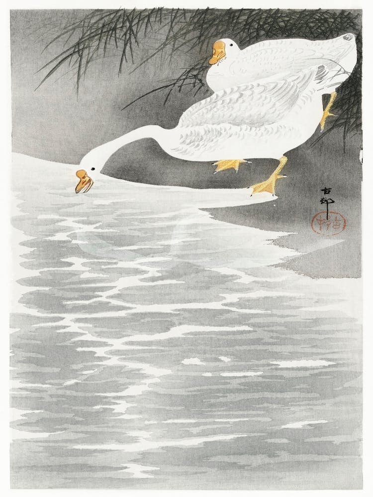 Geese On The Shore (1900 1930), Ohara Koson