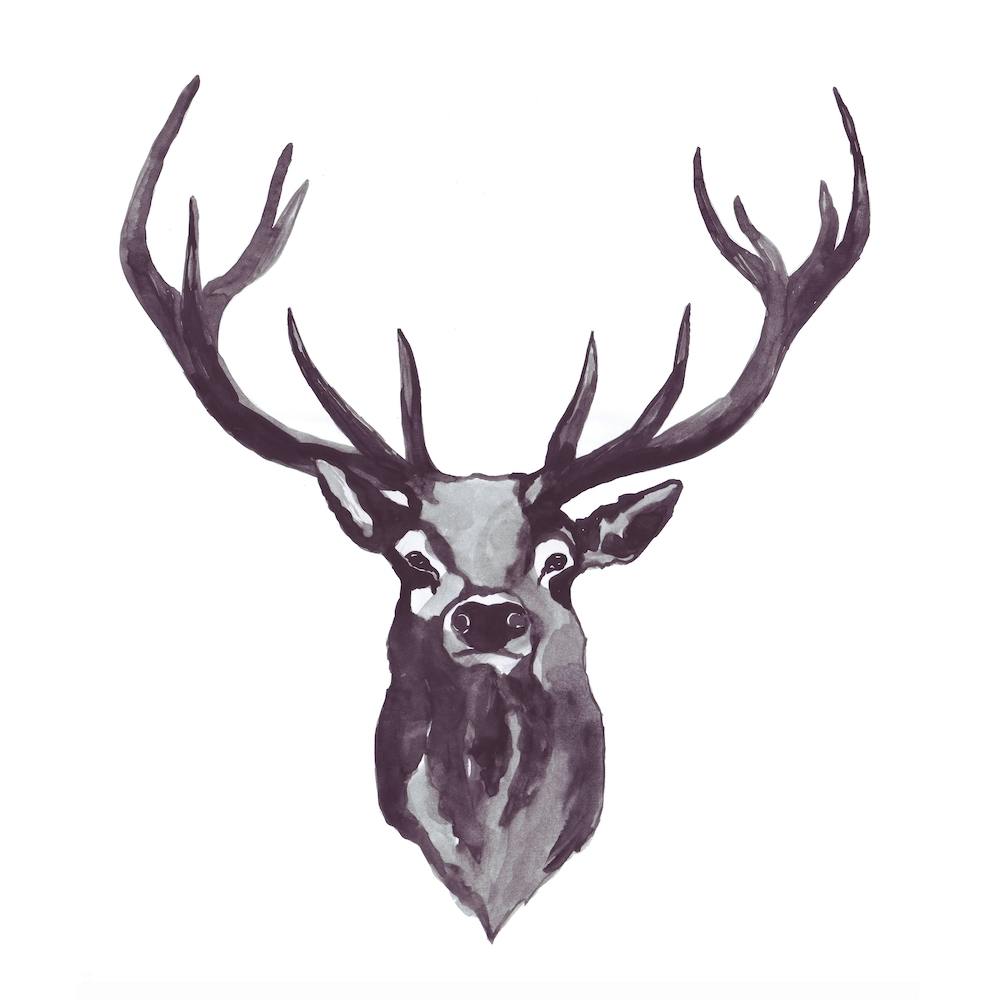 Mountain Love   Stag