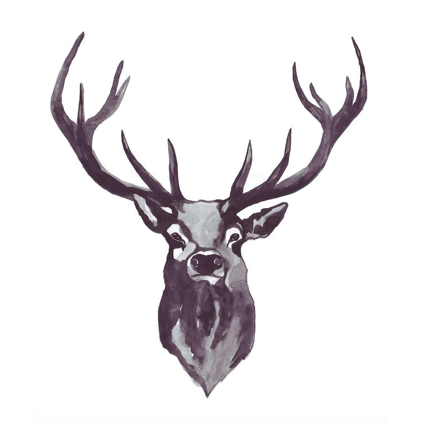 Mountain Love   Stag