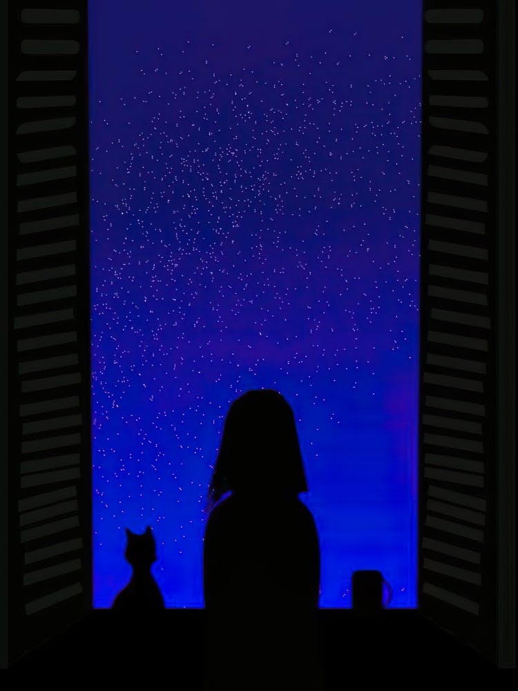 Silhouette Of A Girl Looking Out The Window
