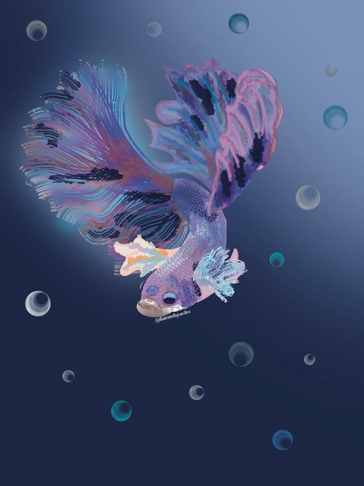 Fish in the sea