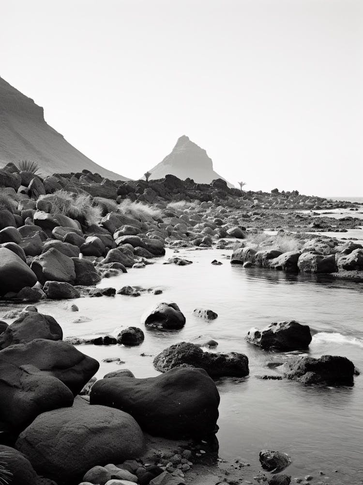 Tenerife, Spain, Black And White Analogue Photography 3