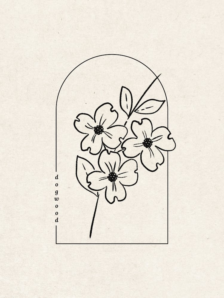 Dogwood Flower
