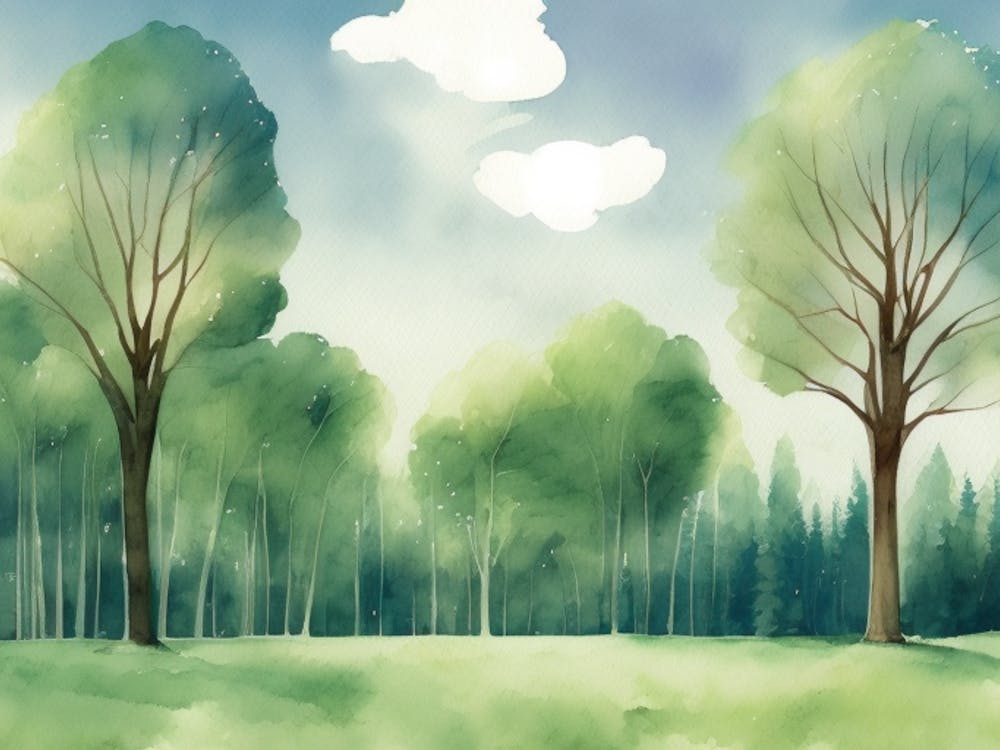 Watercolor Of Trees 3