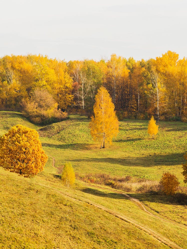 Autumn In The Countryside Photo