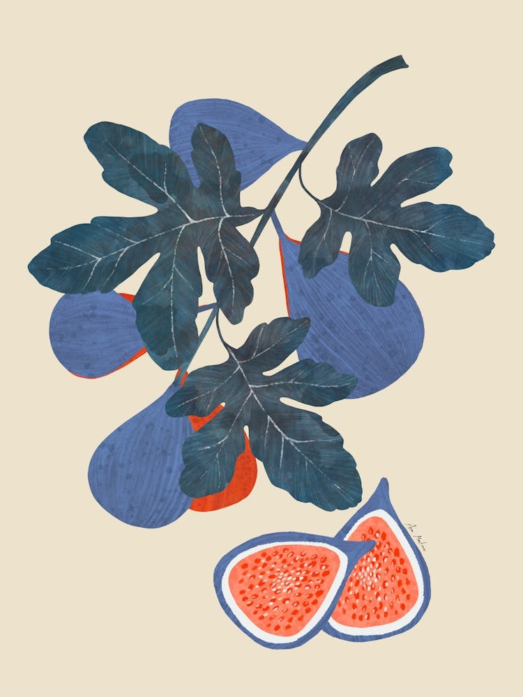 Figs And Leaves 1