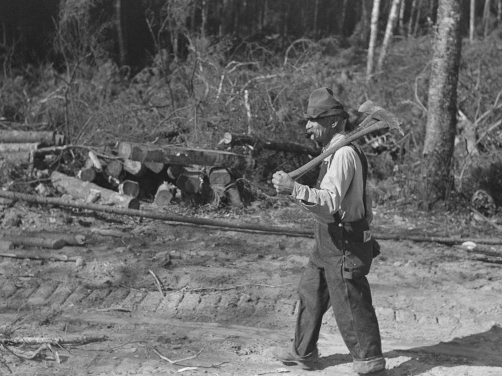 Old Lumberjack At Camp Near Effie, Minnesota By Russell Lee