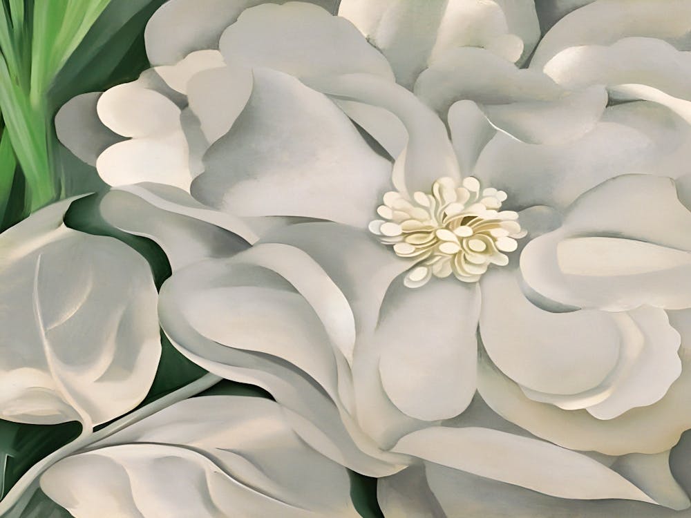 Georgia O'Keeffe. The White Calico Flower, 1931.A